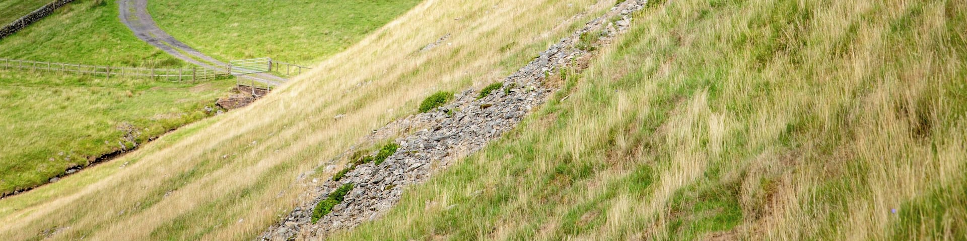 A rural landscape with rolling hills, a winding road, and a small house.