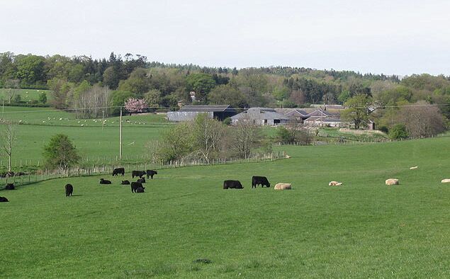 Holestane Farm