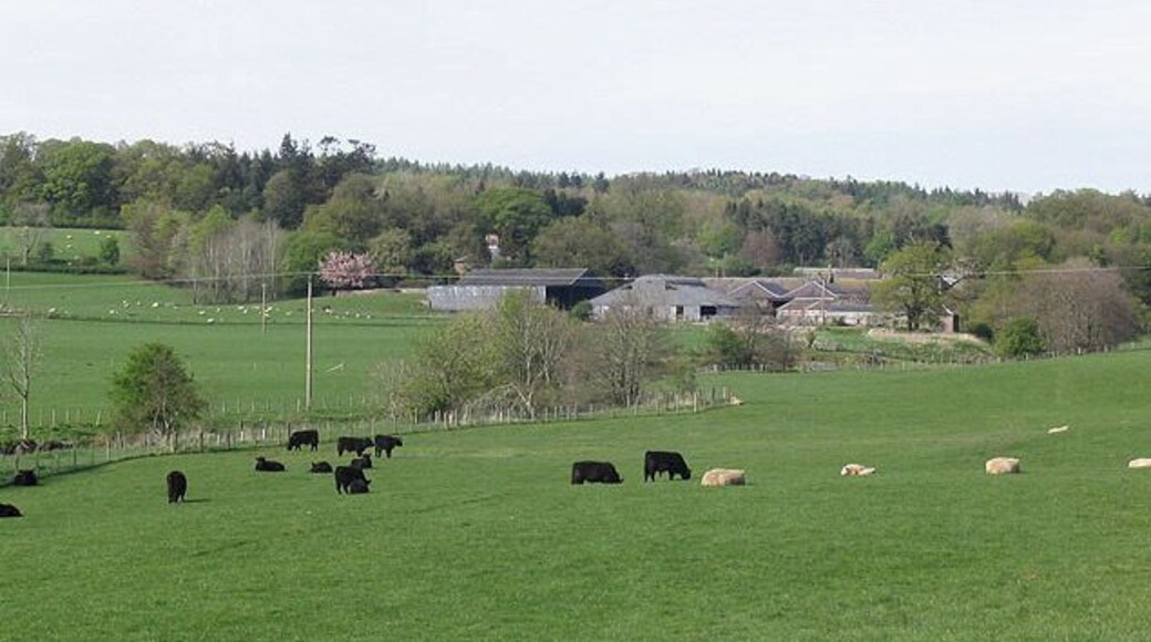 Holestane Farm