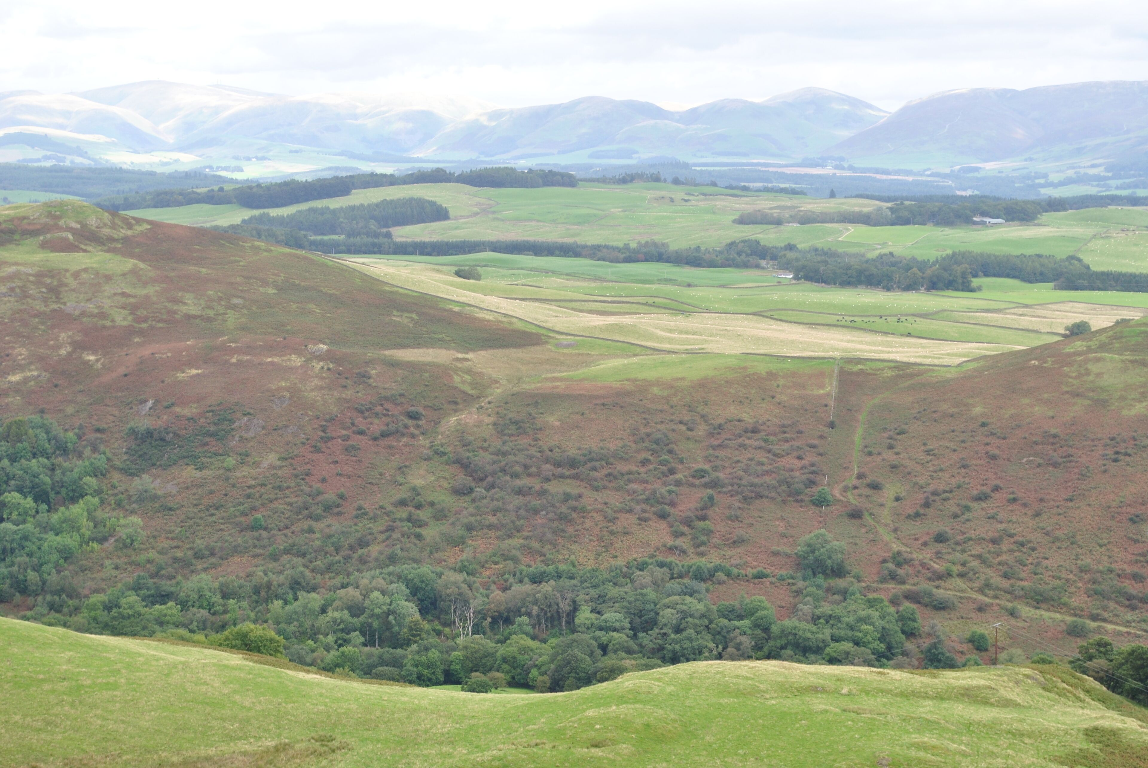 Grennan Hill taken from Tynron Doon