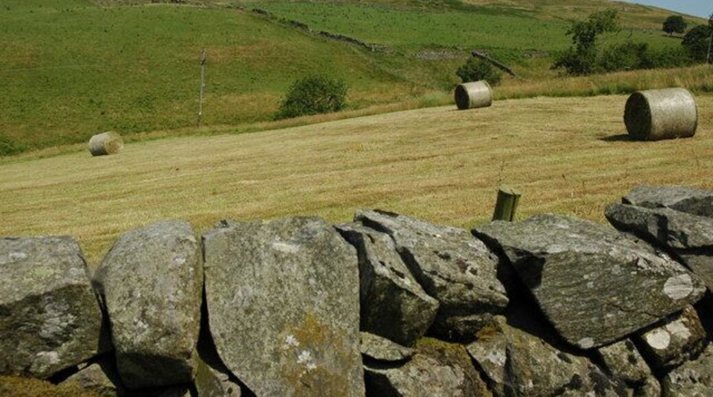 Hayrolls on farmland near Moniaive.