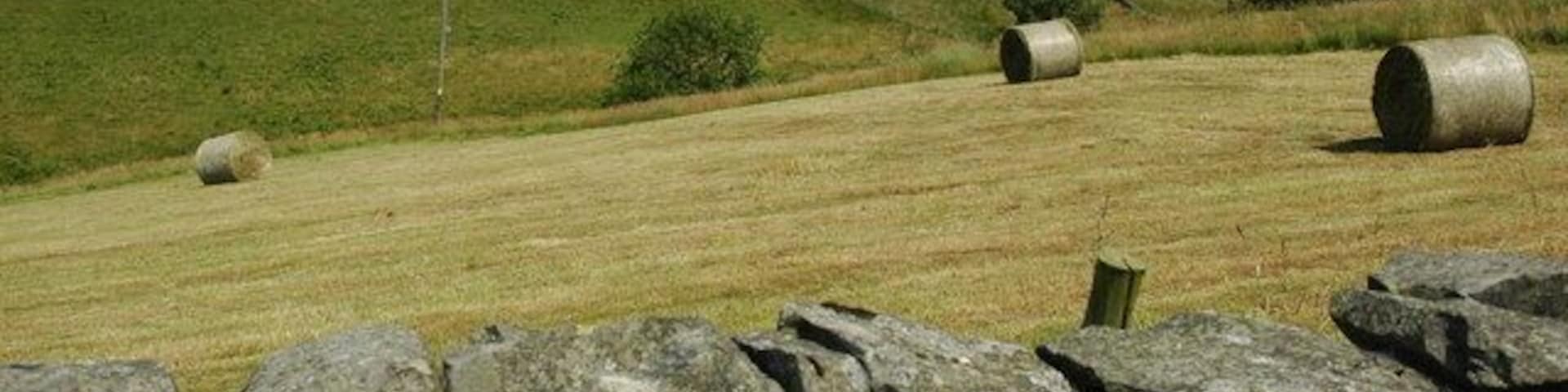 Hayrolls on farmland near Moniaive.