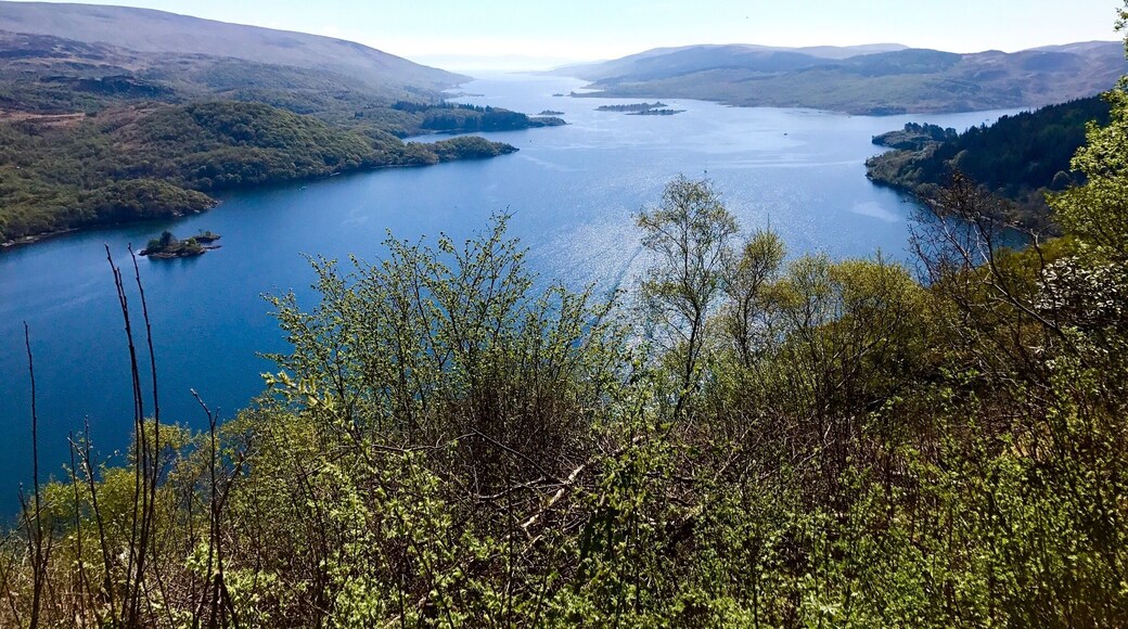 Viewpoint on road to Tighnabruaich. Kyles are the "narrows"; and at Colintraive there is a short ferry ride (5 minutes) to the Isle of Bute (landmass on far right.