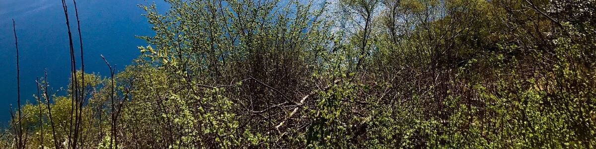 Viewpoint on road to Tighnabruaich. Kyles are the "narrows"; and at Colintraive there is a short ferry ride (5 minutes) to the Isle of Bute (landmass on far right.