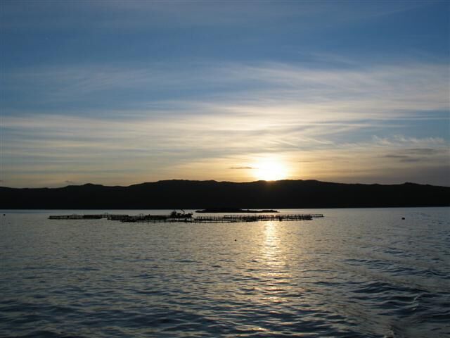 A sunset over a calm lake with a pier extending into the water.