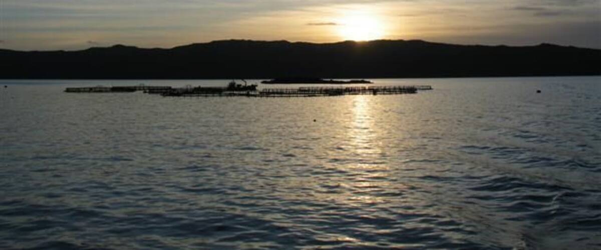 A sunset over a calm lake with a pier extending into the water.