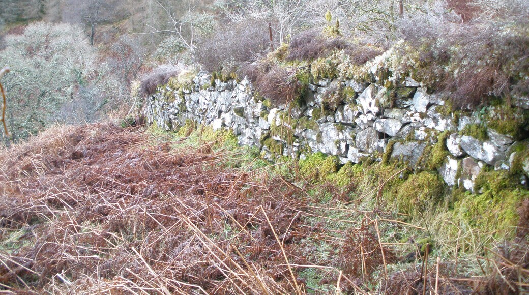 Drystone dyke going down towards Largiemore Burn