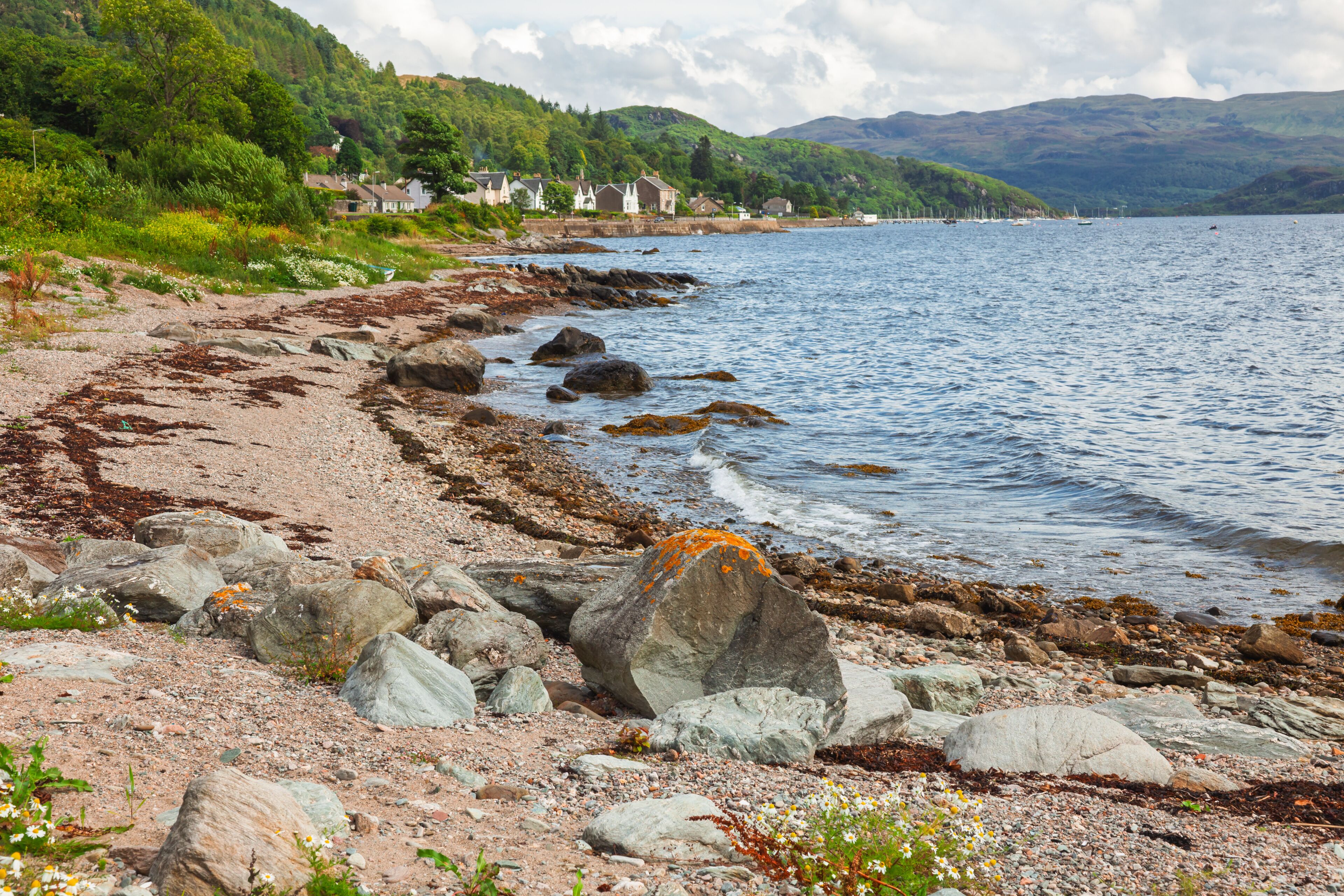A rocky shoreline with houses and greenery in the background.