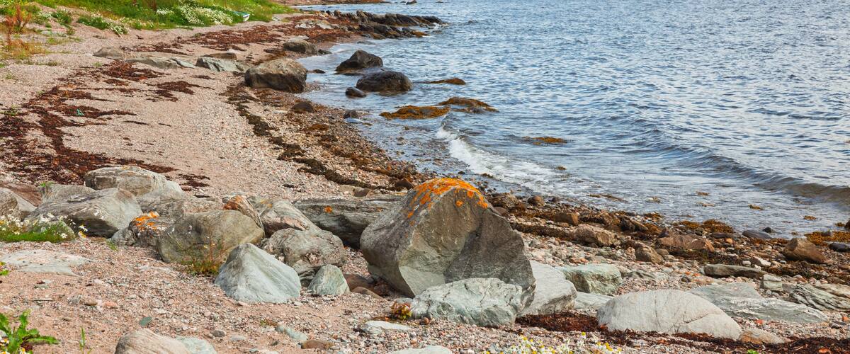 A rocky shoreline with houses and greenery in the background.