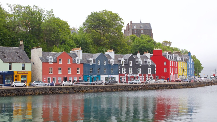 Isle of Mull showing a bay or harbour and a coastal town