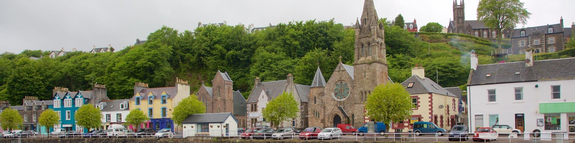 Isle of Mull which includes a church or cathedral, a coastal town and a bay or harbor