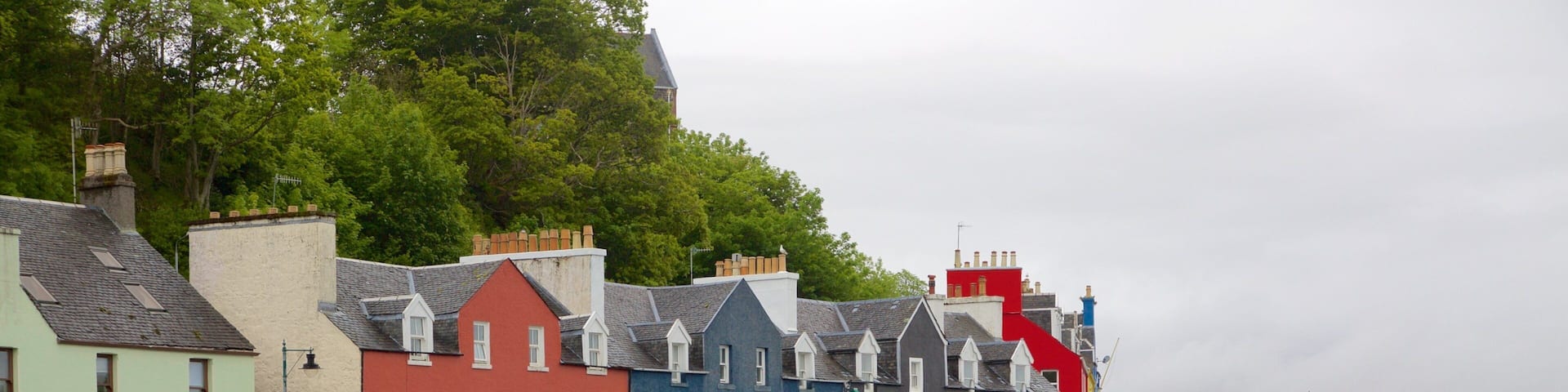 Ăle de Mull qui includes baie ou port et ville cĂŽtiĂšre