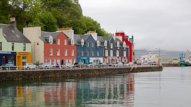 Isle of Mull showing a bay or harbour and a coastal town