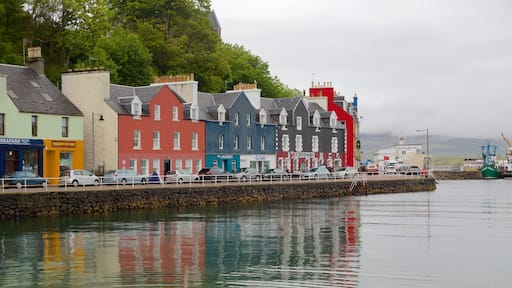 Isle of Mull showing a coastal town and a bay or harbor