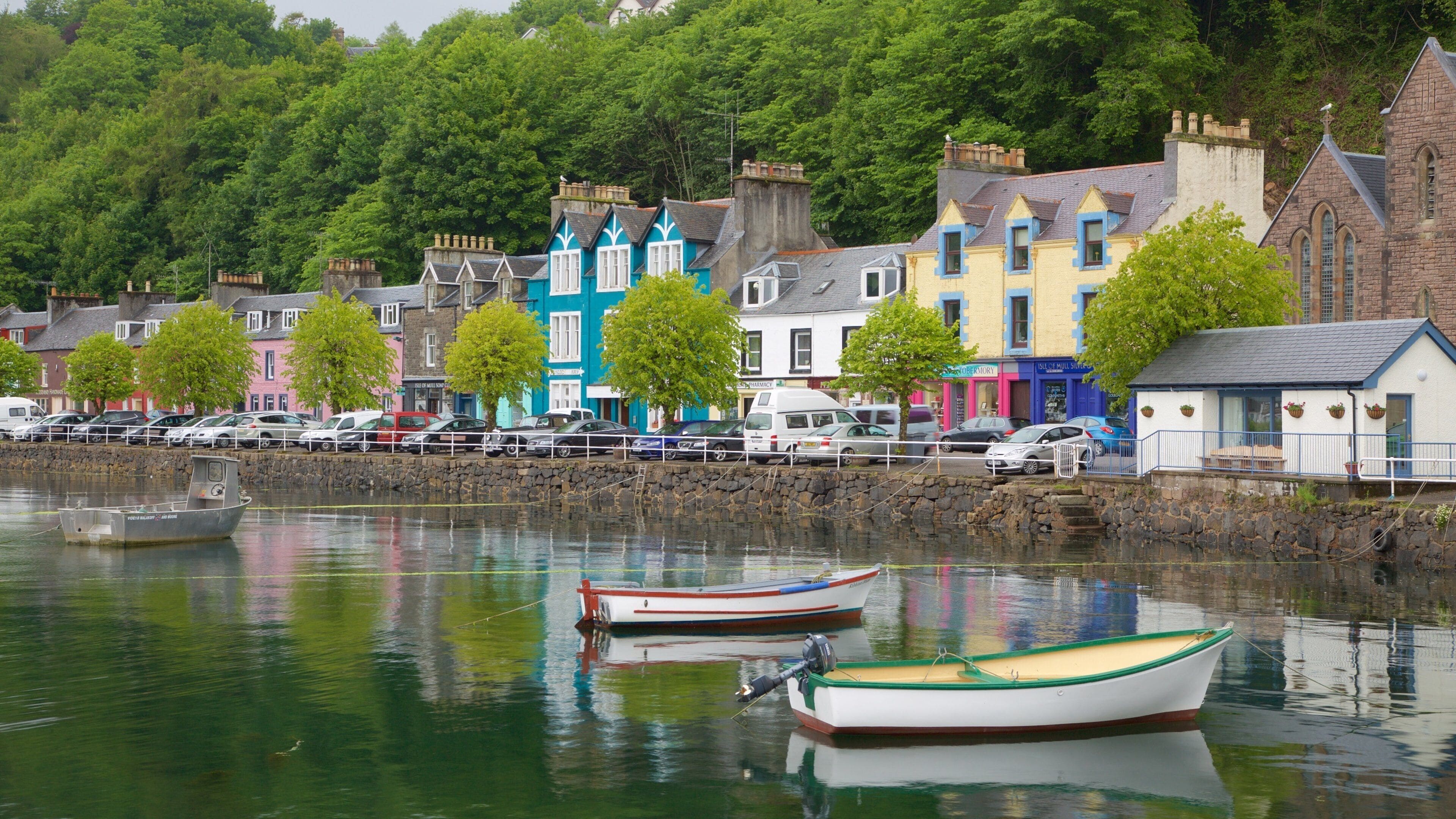 Isle of Mull mostrando uma baía ou porto e uma cidade litorânea