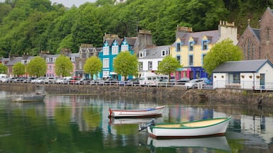 A waterfront with colorful buildings, parked cars, and boats.