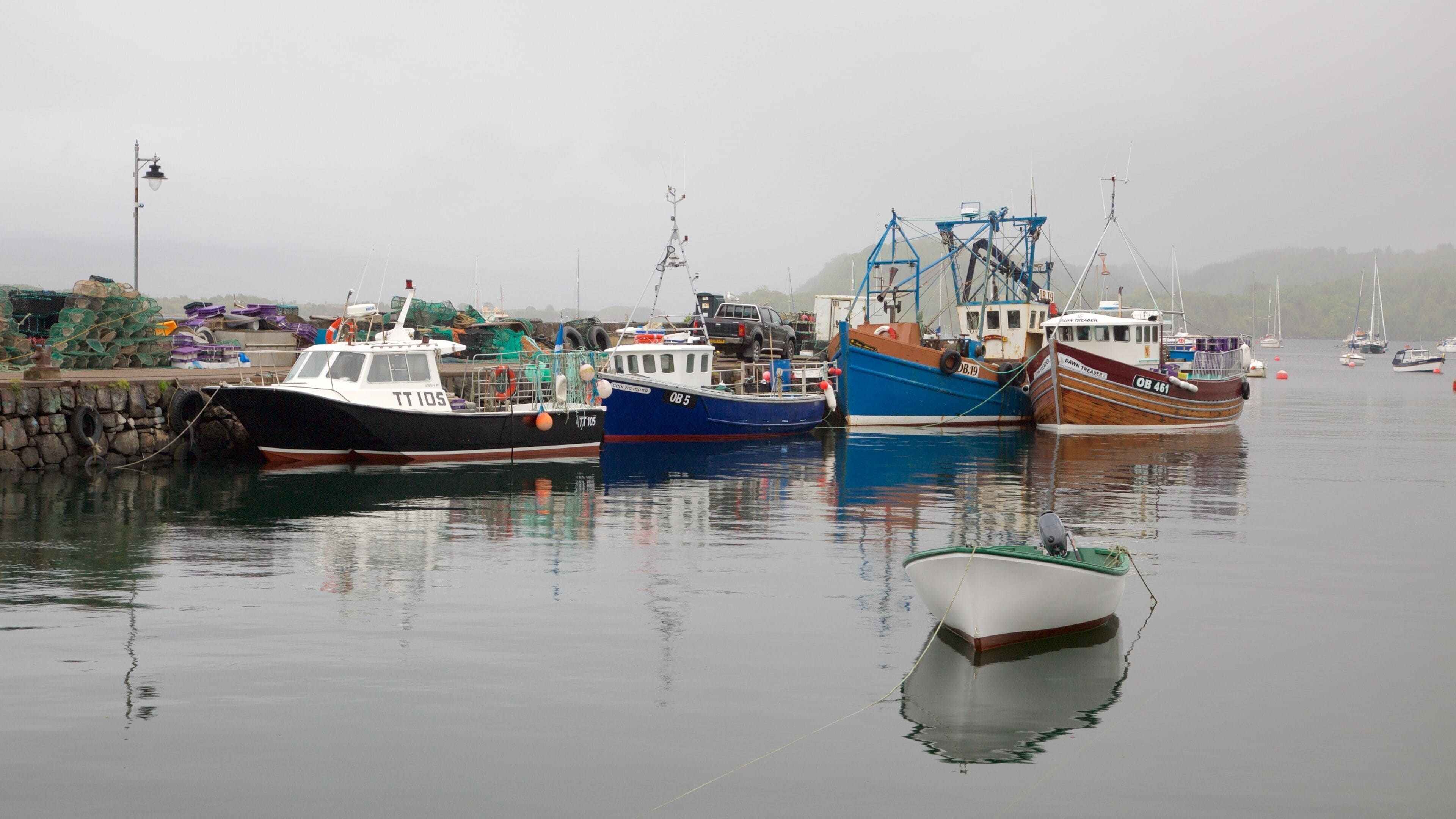 Isle of Mull showing a marina, a bay or harbor and boating