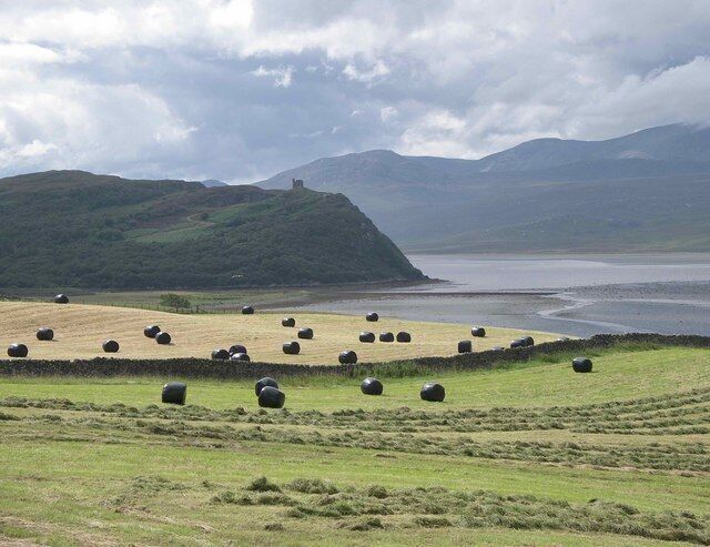 Big bales of silage near Tongue. Big bales of silage are a modern feature of farming and make a striking photograph within the ancient landscape of the Kyle of Tongue. A 16th century tower house 'Caisteal Bharraich' stands out on the promontory behind (see adjacent square NC5856).