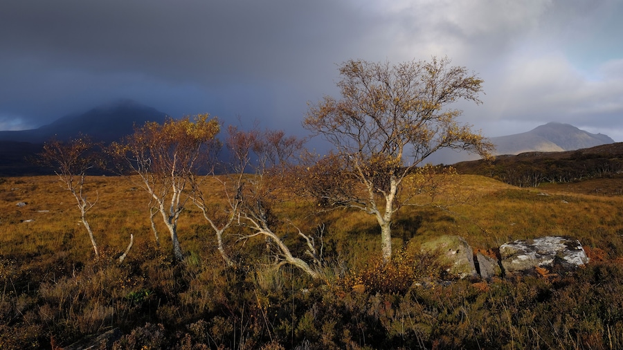 Photograph this location at Sunset, the golden light on the autumnal colours make this a site to behold. The mountains in the distance add to the scene wonderfully.