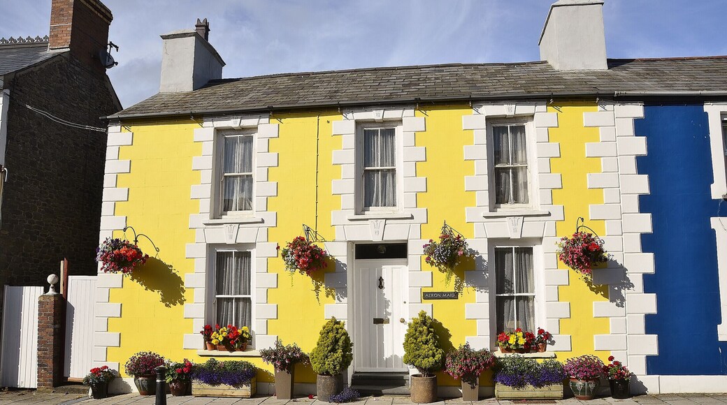 Beautiful coloured houses in the town of Aberaeron.