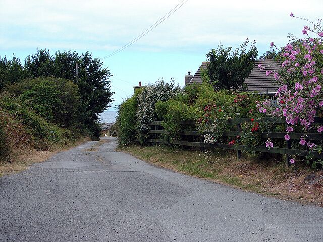 A narrow rural road flanked by dense vegetation and a wooden fence.