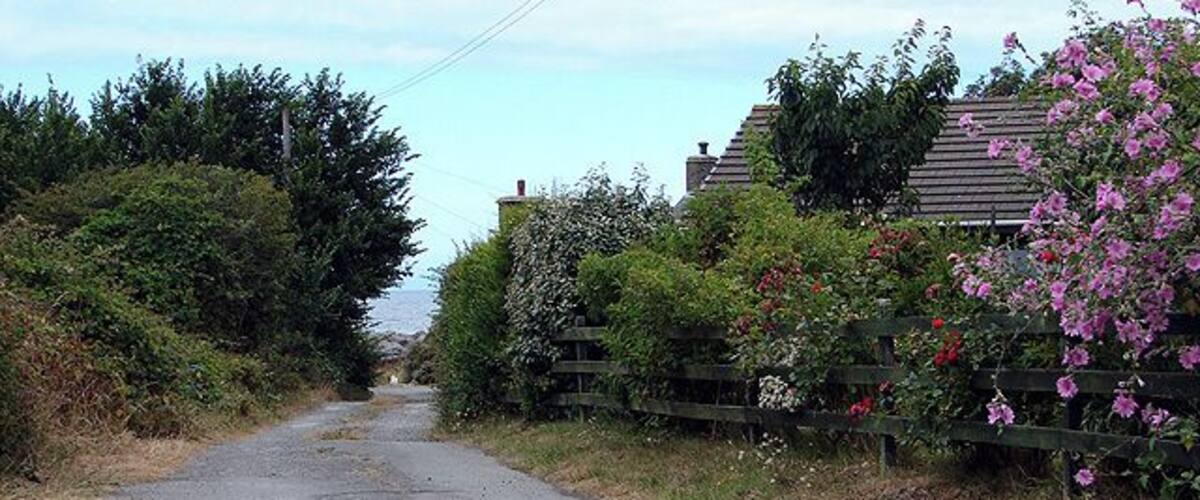 A narrow rural road flanked by dense vegetation and a wooden fence.