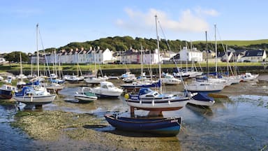Aberaeron
Wales, UK