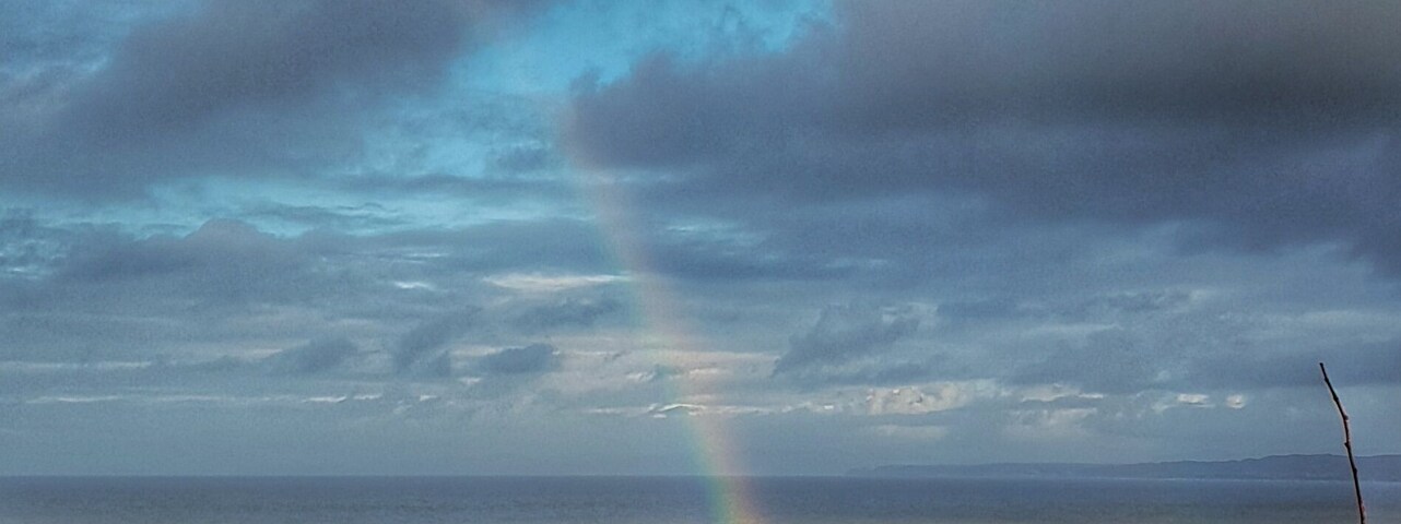 A coastal harbour town on the west coast of Wales , worth a visit just for the honeyed ice-cream . Very busy in the summer . Very quiet but just as beautiful in the winter .