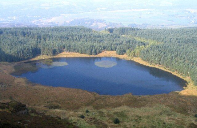 Un lago rodeado de un bosque denso.