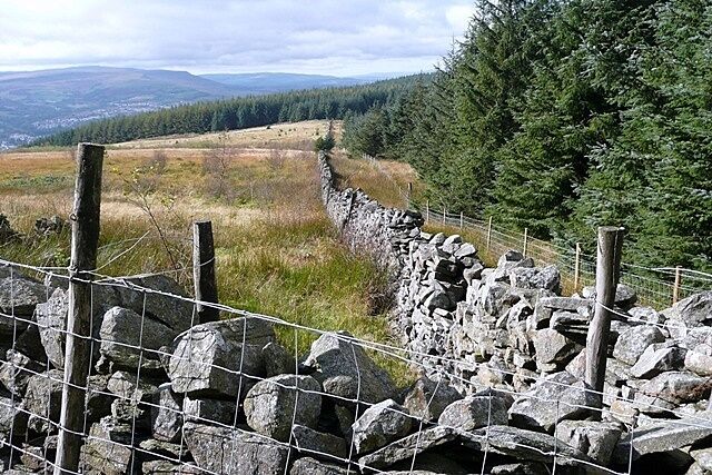 Edge of Gethin forest Planted forests stop abruptly and you can see something of the land on which they are planted, as here where the moorland of Pantwaun Iago is still unplanted.