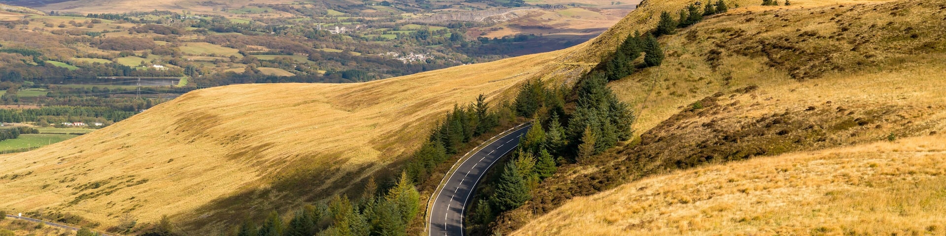 A sheep in the evening sun near Treorchy, overlooking the Ogmore Valley in Rhondda Cynon Taf, Mid Glamorgan, Wales, UK