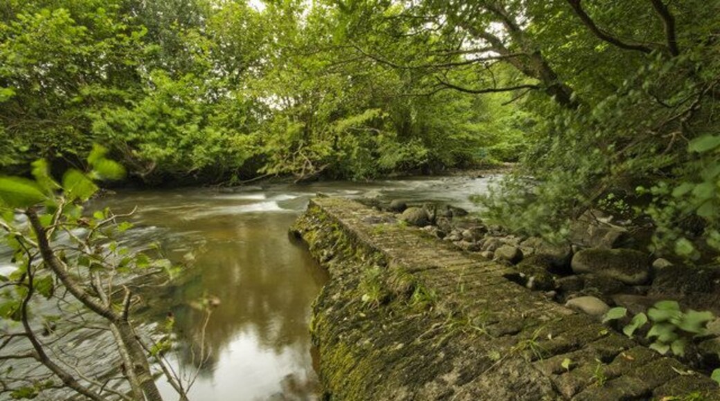 Remains of Weir Remains of Weir across Afon Cynon