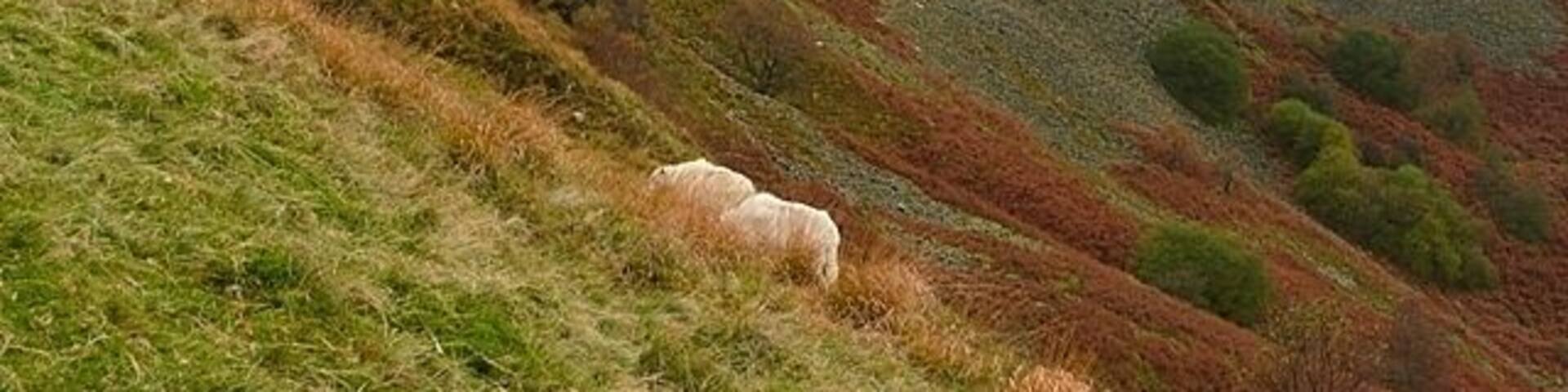 Tarren y Bwllfa The Tarren y Bwllfa crags form a dramatic and abrupt stop to the moorland in the north of the square, dropping down to the Dare valley. The Coed Morgannwg Way runs near the top of the crags.