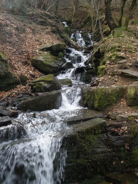 Uma pequena cascata em uma área arborizada, com rochas cobertas de musgo e folhas caídas.