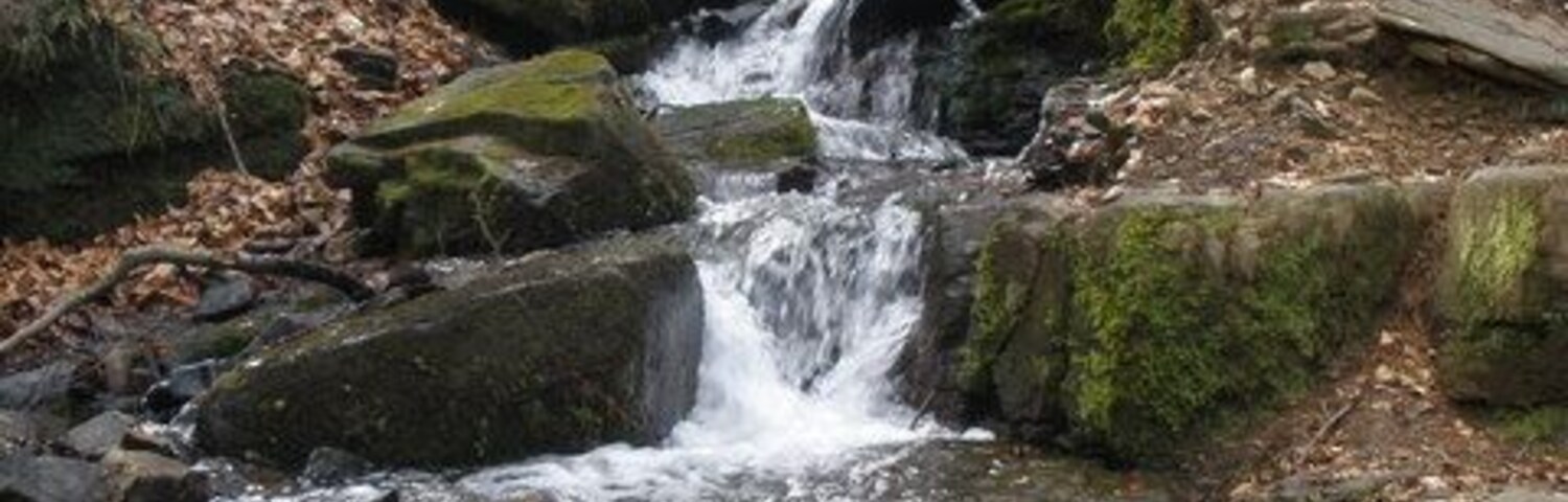 Uma pequena cascata em uma área arborizada, com rochas cobertas de musgo e folhas caídas.