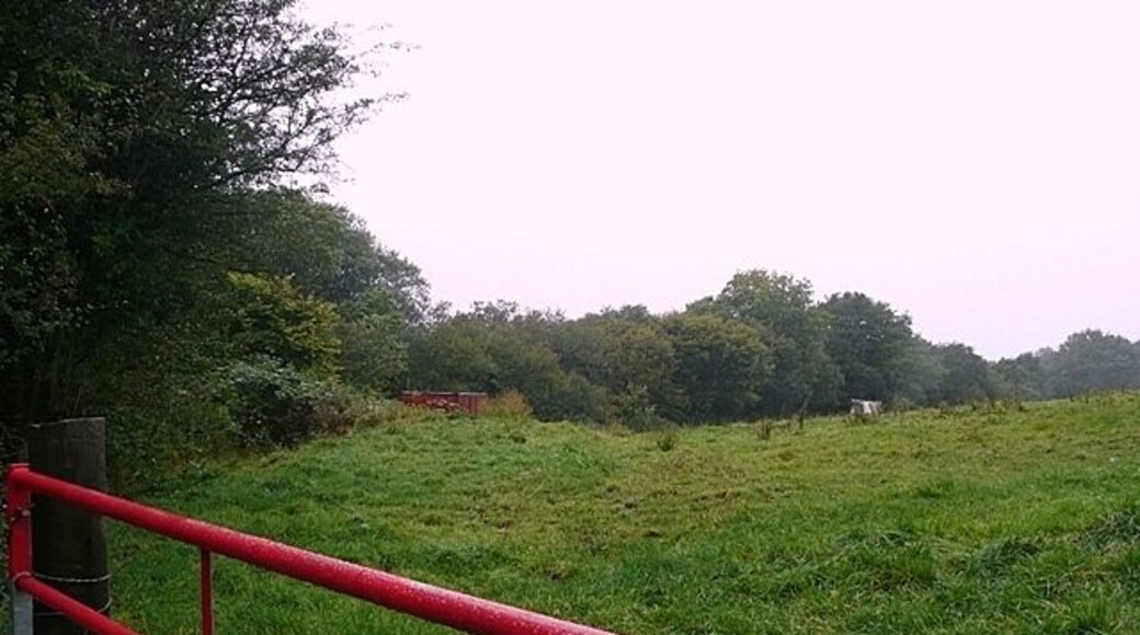 Pasture at Ysgubor-wen On a very wet day, the red gate is about the only thing to brighten up the scene. There is a small amount of farmland in the south-west of the square, beyond which there are extensive disused workings.