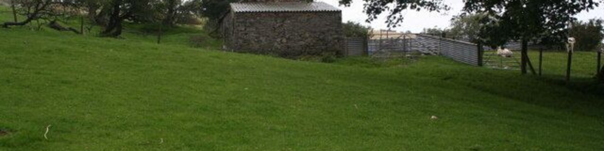 No one at home The abandoned farmstead of Pen-y-graig is up a steep path, much overgrown with ferns, above the small village of Gwytherin.