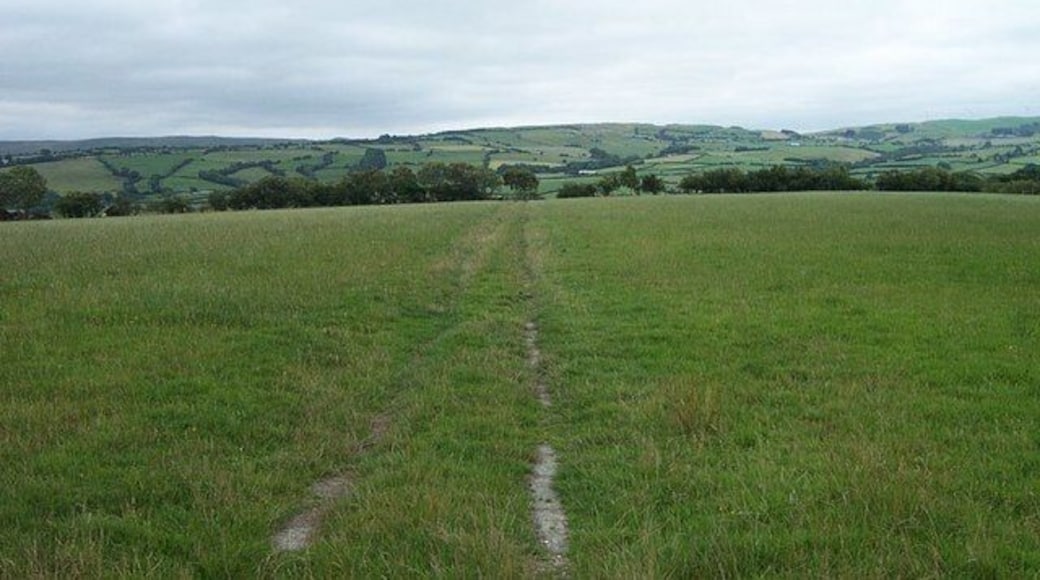 Track across the field to Ty Gwyn. This track lies about two kilometres Southwest of Llangernyw and runs in a South-southeasterly direction from a minor road starting at grid reference SH 85834 65567 and terminating at Ty Gwyn farm.