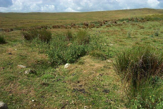 Cairn near Moel Gydia. An un-remarkable cairn near MoelGydia at SH 86145 59973.