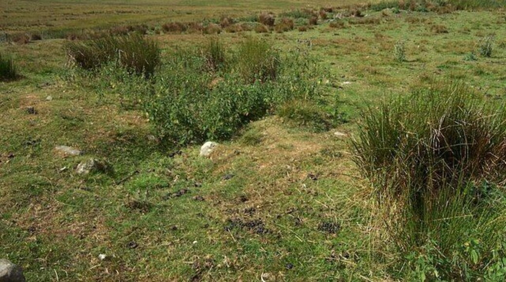 Cairn near Moel Gydia. An un-remarkable cairn near MoelGydia at SH 86145 59973.