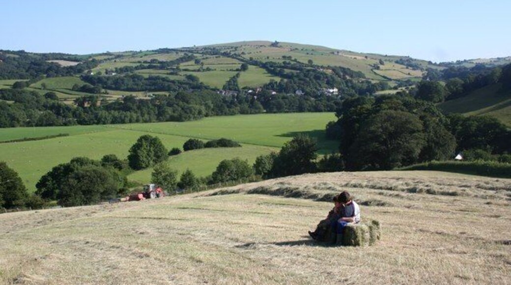 Munud i feddwl... A moment to reflect... Cae gwair yn cael ei felio , a'r hogie'n cael pum munud o seibiant o helpu'u tad. Gwelir pentre Llanfair Talhaiarn o du isa'r bryn yn y cefndir. As the hay is being baled, my boys enjoy a well earned rest! The Elwy valley can be seen below, with Llanfair Talhaiarn in the distance.