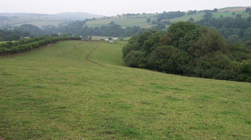 Field near Coed Salusbury. This field about two kilometres Southeast of Llangernyw near Coed Salusbury is at grid reference SH 88756 65342.