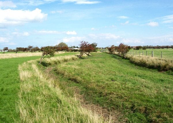 Drainage Channel, Morfa Gele. The flat, empty area of drained saltmarsh is prone to winter flooding and is crossed by a number of drainage channels which are dry in summer. The small Hawthorn trees have been bent over by the prevailing westerly wind. A good crop of berries gives the trees a dramatic red colour.