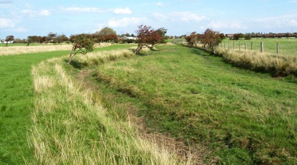 Drainage Channel, Morfa Gele. The flat, empty area of drained saltmarsh is prone to winter flooding and is crossed by a number of drainage channels which are dry in summer. The small Hawthorn trees have been bent over by the prevailing westerly wind. A good crop of berries gives the trees a dramatic red colour.