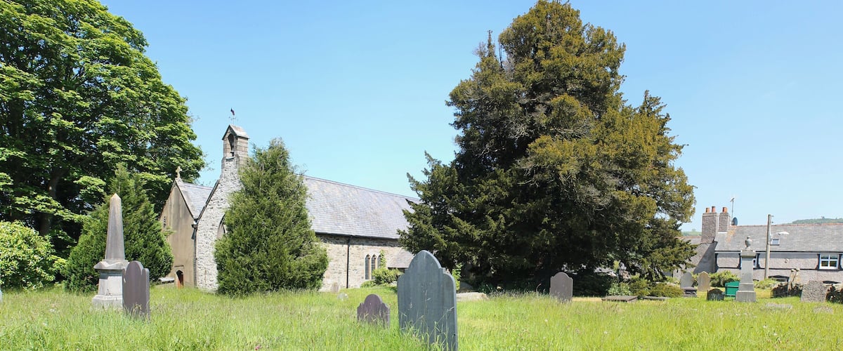 A cemetery with gravestones, a church, and a large tree.
