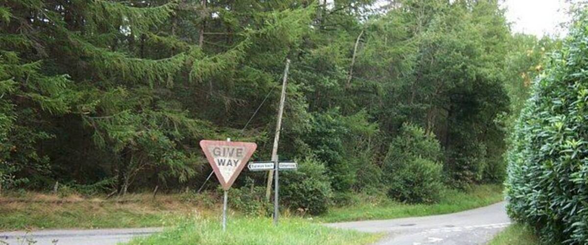 A rural road with a 'Give Way' sign at a junction, surrounded by dense greenery.