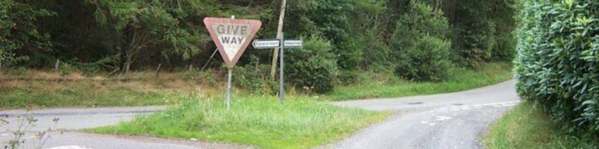A rural road with a 'Give Way' sign at a junction, surrounded by dense greenery.