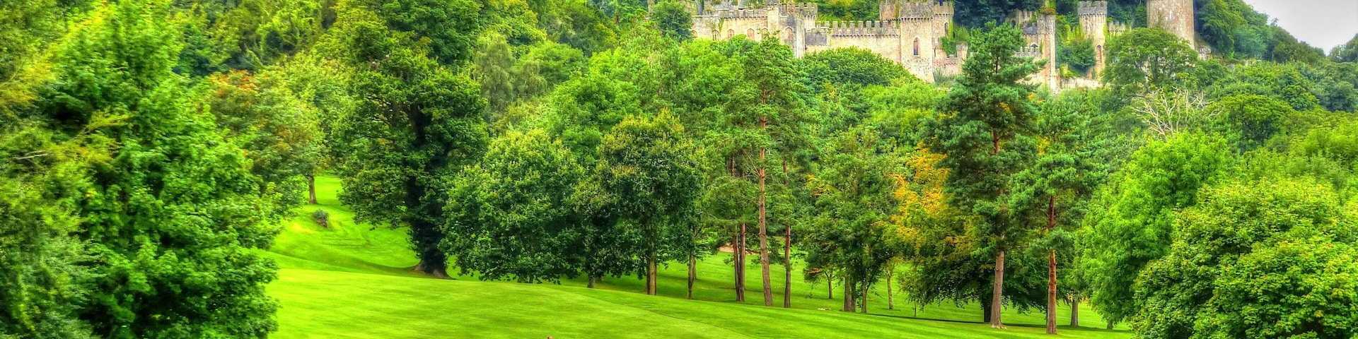 A lush green landscape with a castle on a hill.