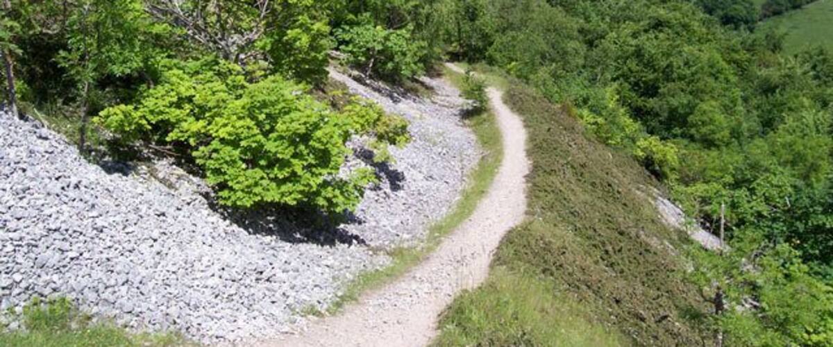 North Wales LDP This section of the path heads for the coast on the flank of the Dulas valley, along a beautifully engineered path which gave access to the quarried outcrop of Craig y Forwyn. If it was a tramway at some stage I do not know, but as it passes through the woodland lower down it is formed into significant rock cuttings.