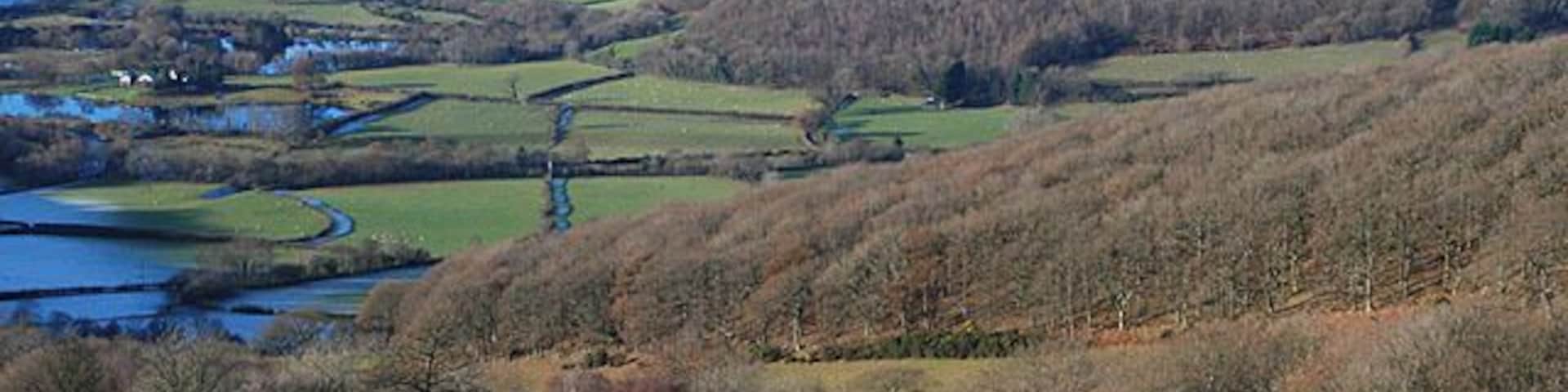 Grazing near Pantmawr On a fine and very cold first day of winter, sheep graze on slopes still showing signs of frost. In Dyffryn Rheidol beyond, heavy frost still lingers on the left, under north-facing slopes.